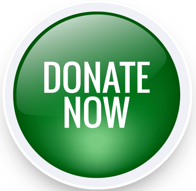 Donate-button